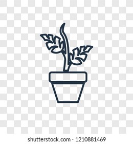 Plant concept vector linear icon isolated on transparent background, Plant concept transparency concept in outline style