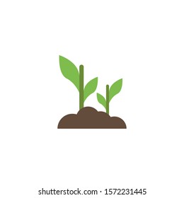 Plant creative icon. flat simple illustration. From gardening icons collection. Isolated Plant sign on white background