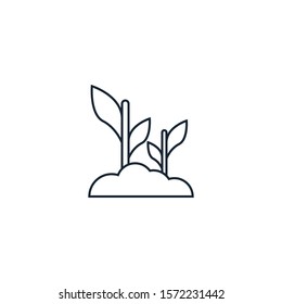 Plant creative icon. line simple illustration. From gardening icons collection. Isolated Plant sign on white background