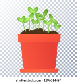 Plant cultivation. Pot with germinated seeds and sprouts isolated on transparent background. Plant development stage. Fertile soil. Grow vegetables, melon, sunflower. Agriculture.1