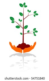 Plant cupped between open hands vector
