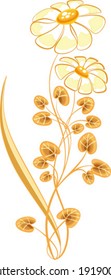 Plant of daisies
