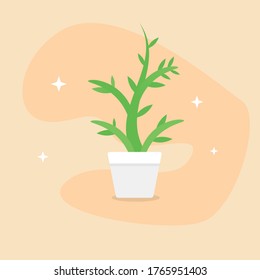 Plant Decoration Interior Vector Illustration
