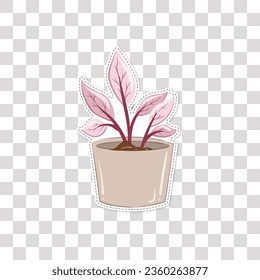 plant decoration in pot vector