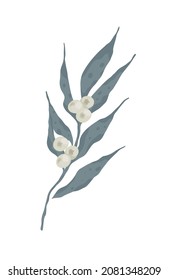 Plant decorations. An elegant branch. Leaves. Vector isolated colorful element on a white background. 