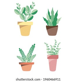 Plant for decorations on white background.