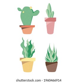 Plant for decorations on white background.