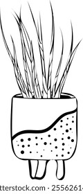 Plant in decorative pot line art. Flat isolated  hand drawn home plants. Minimalist style vector illustration