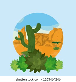 Plant and desert