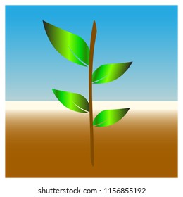 plant at desert logo