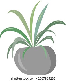 Plant design for background, sticker, etc. Can use for illustration home plant, indoor garden, plant collection, etc. 