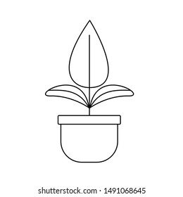 Plant design, Garden ornament nature botany summer natural and floral theme Vector illustration