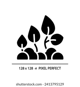 Plant development black glyph icon. Seed germination. Crop management. Seedling growth stages. Life cycle. Silhouette symbol on white space. Solid pictogram. Vector isolated illustration