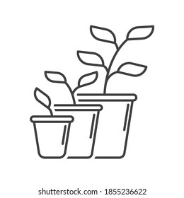 Plant development and growth icon. Simple linear display of growth stages and pot change. Isolated vector on white background.