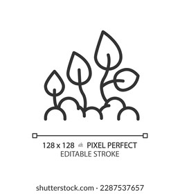 Lineares Symbol für Pflanzenentwicklung. Keimung von Saatgut. Pflanzenmanagement. Saatwachstum. Lebenszyklus. Dünne Illustration. Contour-Symbol. Vektorgrafik-Zeichnung. Bearbeitbarer Hub