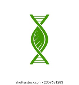 Plant DNA icon, leaf and green gene helix strand vector symbol of biotechnology research, nature, biology and medicine. Plant cell DNA, chromosome helix with green leaf sign, organic genetics science