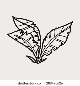 plant doodle