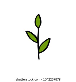 plant doodle icon