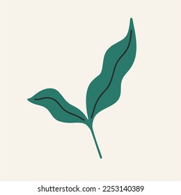 Plant drawn by hand. Flat, design, cartoon, vector illustration.