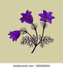 Plant Dream Grass, bells. Vector stock illustration eps 10. hand drawing.