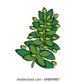 Plant ecology isolated