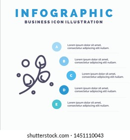 Plant, Egg, Easter, Holiday Line icon with 5 steps presentation infographics Background