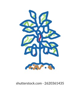 plant eggplant doodle icon sketch vector. plant eggplant sign. isolated symbol illustration