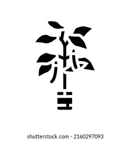plant eggplant glyph icon vector. plant eggplant sign. isolated contour symbol black illustration