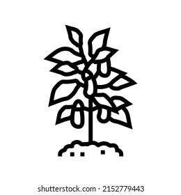 plant eggplant line icon vector. plant eggplant sign. isolated contour symbol black illustration