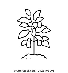 plant eggplant line icon vector. plant eggplant sign. isolated contour symbol black illustration