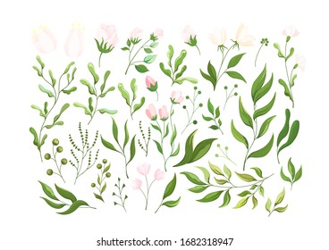 Plant elements of flowers, herbs, and leaves. Botanical set of flower elements , plants and flowers for design. Wild and garden foliage branches grass illustration isolated on white.Vector