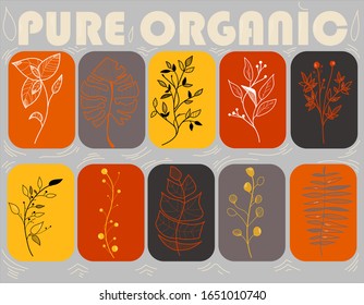 plant elements on an orange, red, yellow, gray and black background