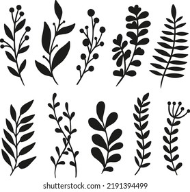  Plant elements organic garden foliage botanical isolated Vector Silhouettes.