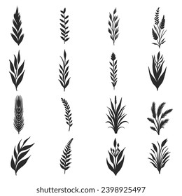 Plant elements set collection vector illustration for your company or brand