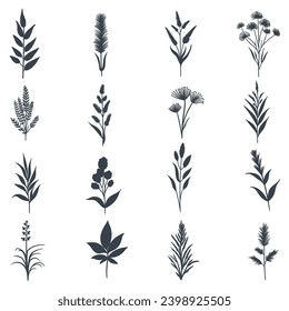 Plant elements set collection vector illustration for your company or brand