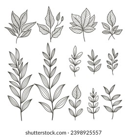 Plant elements set collection vector illustration for your company or brand