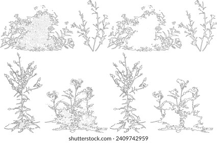 Esquema de siluetas de línea de elevación de planta - hierba, arbusto, árbol