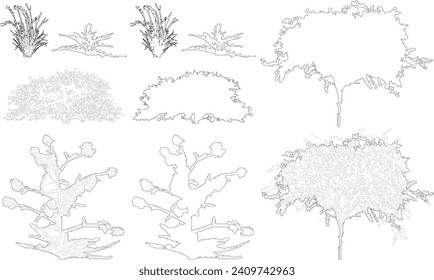 Plant elevation line silhouettes outline - grass, shrub, tree