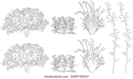 Plant elevation line silhouettes outline - grass, shrub, tree