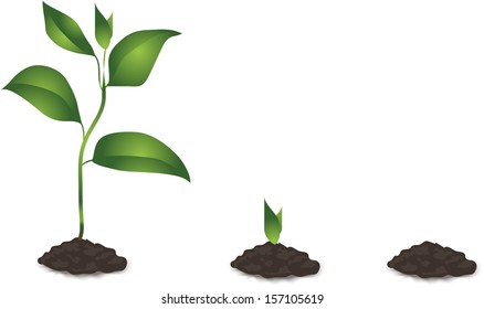 21,806 Evolution of a plant Images, Stock Photos & Vectors | Shutterstock