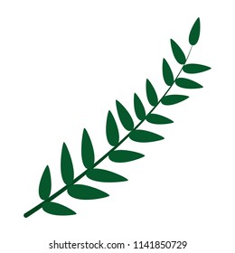 plant exotic branch leaves design