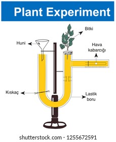 Plant experiment - Biology Course helper shapes, human body, cell, joints and bones
