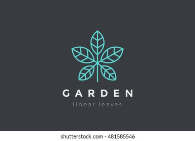 Plant five leaves Logo design vector template Linear style.
Cosmetics, Spa, Beauty salon, Pharmacy Logotype concept icon.