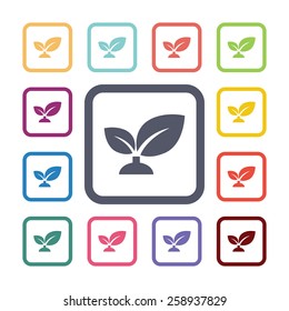 plant flat icons set. Open round colorful buttons. Vector 
