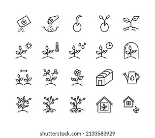 Plant flat line icons set. Spring season, growing plant shoots, Agriculture and  Gardening. Simple flat vector illustration for web site or mobile app.