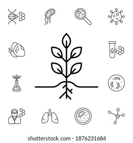 Plant flat vector icon in biology pack