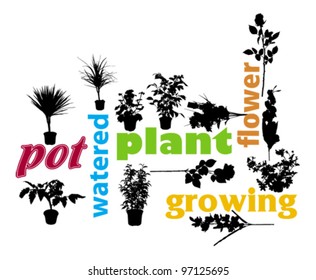 plant and flower design