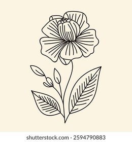 Plant Flower Drawing Vector Art. Trendy Minimalistic with Flowers.