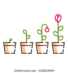 Plant flower growth process line icons vector.