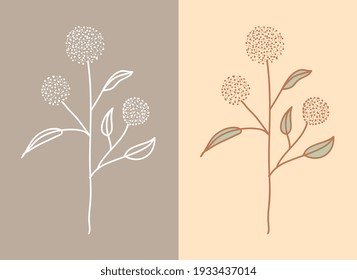 plant with flower hand drawn set. vector illustration